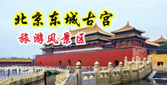 射浆精厕摸逼中国北京-东城古宫旅游风景区